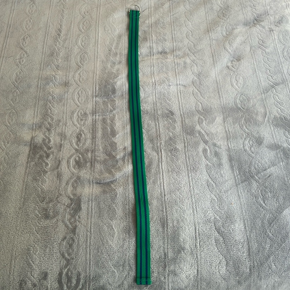 Kids Green with Blue Stripes Polo Ralph Lauren Belt Size 14 34in long